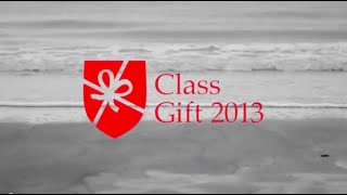 Class Gift 2013