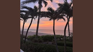 Never Had the Chance