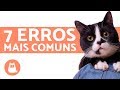 Cuidar de gatos - 7 coisas que as pessoas fazem errado