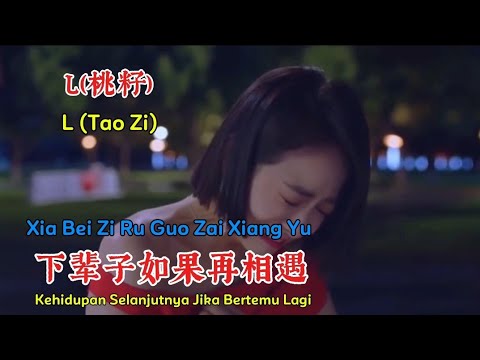 Liu San Jin (刘三斤) - Xia Bei Zi Huan Yao He Ni Cheng Ge Jia (下辈子还要和你成个家) Lyrics 歌词 Pinyin/English