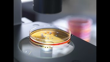 Gene editing - CRISPR- Biological cyborg - A.I take over for the quantum computer.