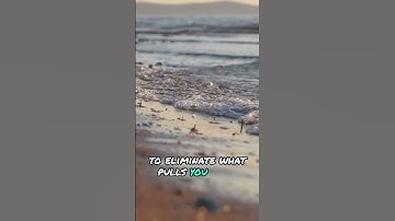 Boost Your Motivation: Create a Distraction-Free Environment!