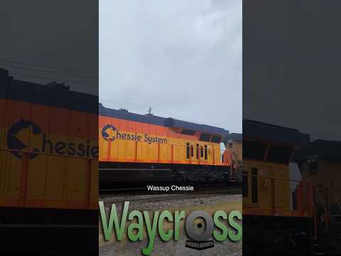 Shiny Chessie System
