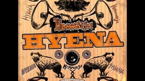 -DDR A20- HYENA EXPERT SINGLE