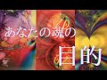 ✨🌈あなたが持って生まれた魂の目的🦁新月＆ライオンズゲートの力を借りて🦁オラクルカードリーディング