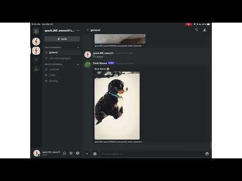 How to join my discord server!