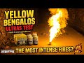 BENGALOS YELLOW PO-W/Y TEST - Pyrolife Flare 