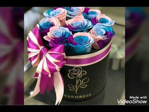 ملقتش في جمالك حد