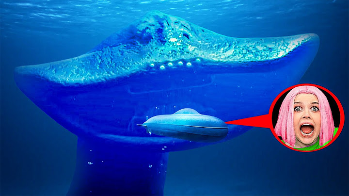 EL GRAN MAJA and BLOOP SURROUNDED My SUBMARINE — IT WAS ALL CAUGHT ON CAMERA!!