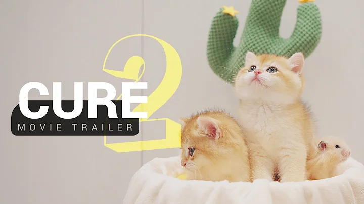 Watch the video about ❤️‍🔥"CURE 2" - 365-Day Kitten Growth - Movie Trailer