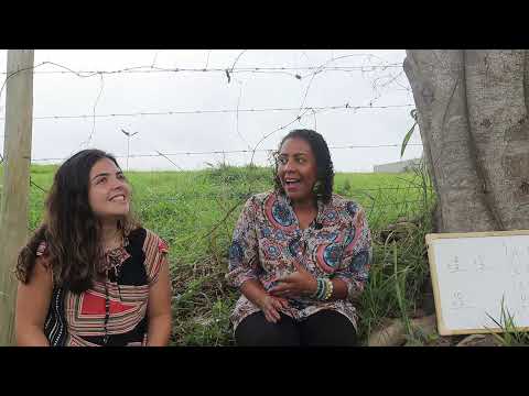 O BOLO QUE RENDEU MUITO || Celebração Shine || 02.01.2022