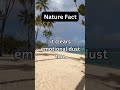 Relaxing Travel Ambience • Rain, Ocean &amp; Nature Sounds for Sleep, Focus &amp; Calm