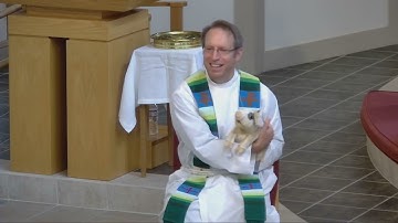 Plotinus (Tiny) the Pig - Eleventh Sunday after Pentecost 2022