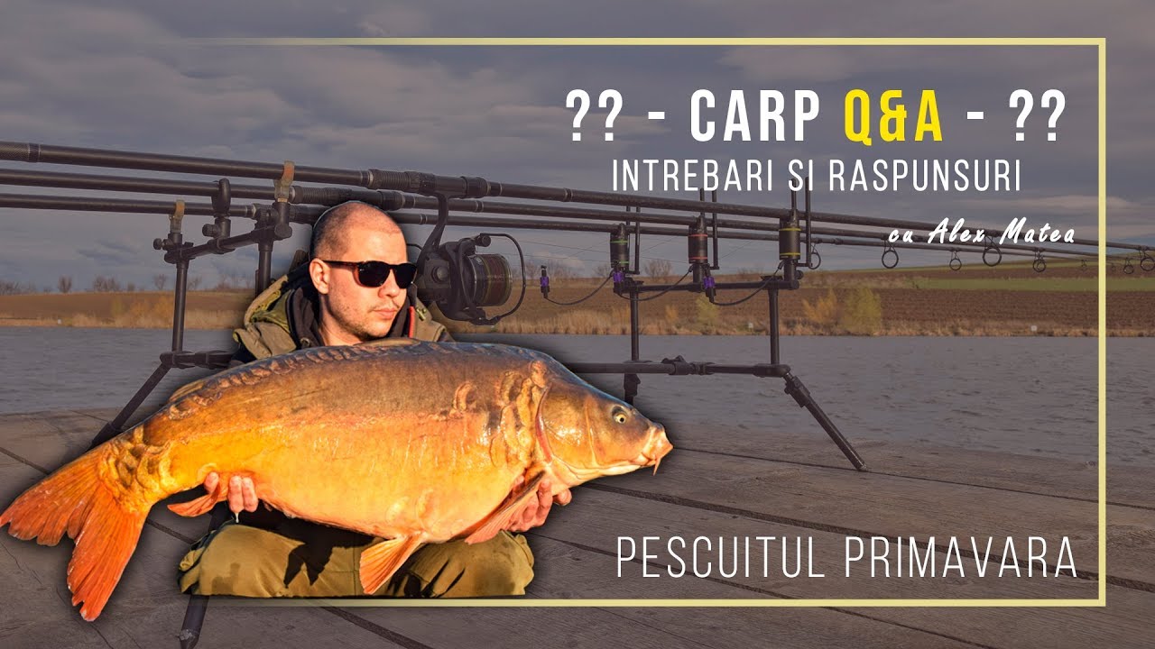 Carp Q&A | Pescuitul de primavara cu Alex Matea