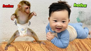 Diana The Monkey Wants To Wear New Clothes Like A Baby.