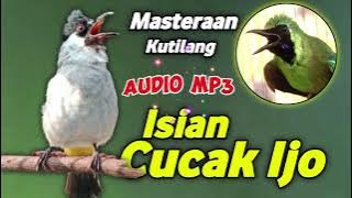 Audio mp3 masteran kutilang isian cucak ijo