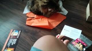August 2015 Meow Box #1
