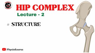 Hip complex | Structure