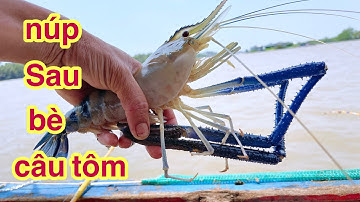 Thương Vlog Câu Tôm Khu Bè Này Vẫn Là Số Một @Xuanthuong91