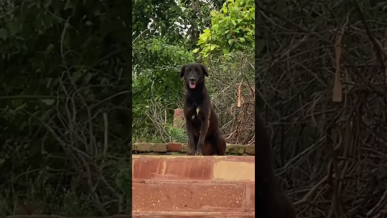 Recce with the team in Chambal Ravines. 