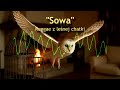 LegwanAI "Sowa"