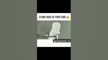 Fixing Bug in your Code #shorts#codewithdani#memes#codingmemes