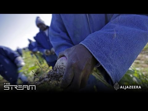 The Stream - The labour rights fight in US prisons