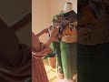 【保存版】誰でも出来る“薔薇の帯結び”🎀プロ級に見える裏ワザ公開！#shorts #kimono #着付け　