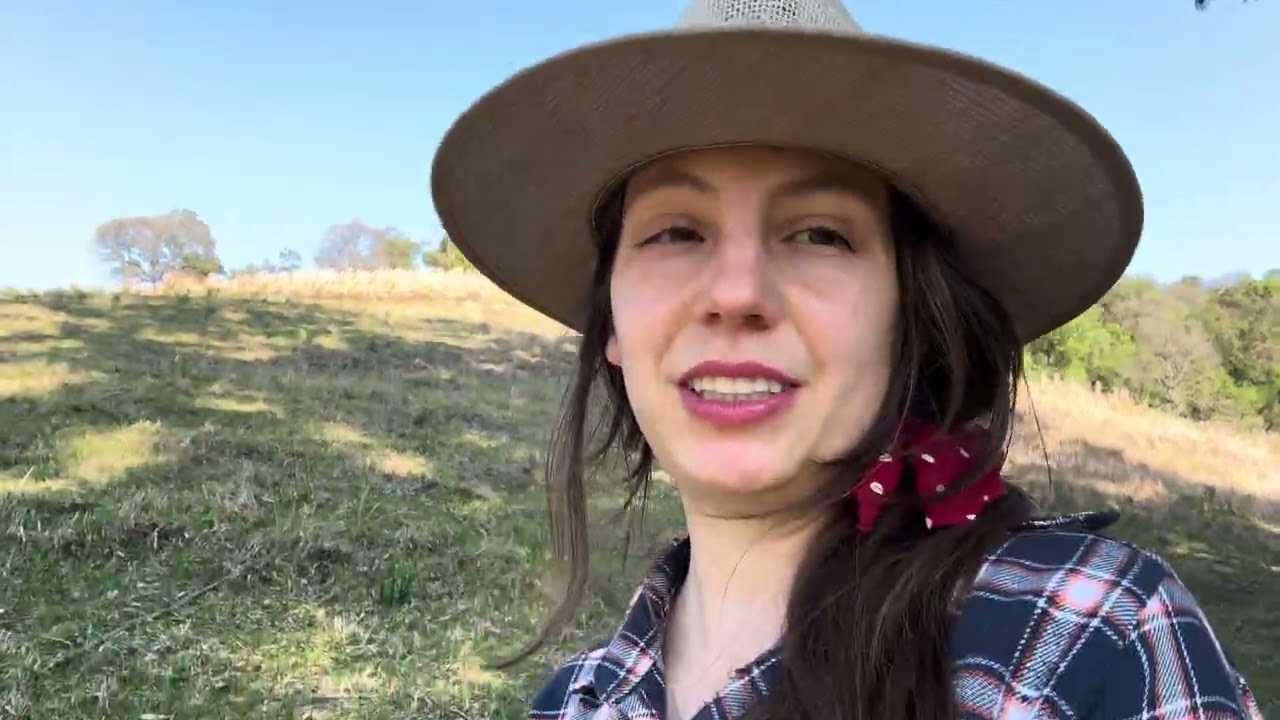 Mateando nos Alpes da Nenelandia 