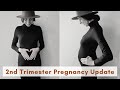 18 week pregnancy update // finding out gender // growing belly