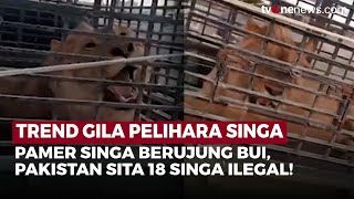 Download Lagu Viral! 18 Singa Ilegal Disita di Pakistan, Pemilik Terancam 7 Tahun Penjara | OneNews Update MP3 Download Lagu Viral! 18 Singa Ilegal Disita di Pakistan, Pemilik Terancam 7 Tahun Penjara | OneNews Update MP3