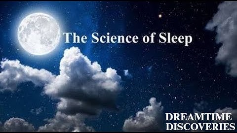 “The Science of Sleep: Unlocking the Secrets to Better Rest and Energy”