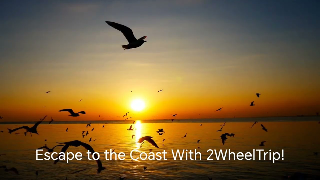 Glowing golden sunset ride with trusted and affordable scooty rentals in Shrivardhan offering best rates 8767071784