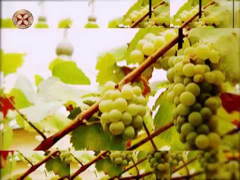 სიახლენი - 11 სექტემბერი 2017 წ.