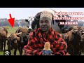 PART2 TAJIRI WA MIFUGO YA KICHAWI ALIYEENDA KWA MGANGA KUTAFUTA UTAJIRI AELEZA ALIVYOKOSEA SHARTI