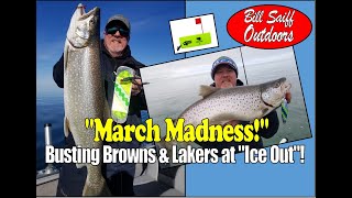 'March Madness' Lake Ontario Browns & Lakers!