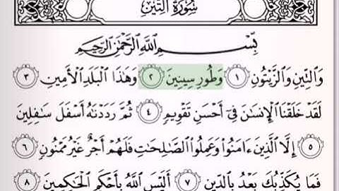 سورة التين مكرره ١٠ مرات بصوت الشيخ سعود الشريم