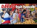 A huge fruit market in davao a fruit paradise