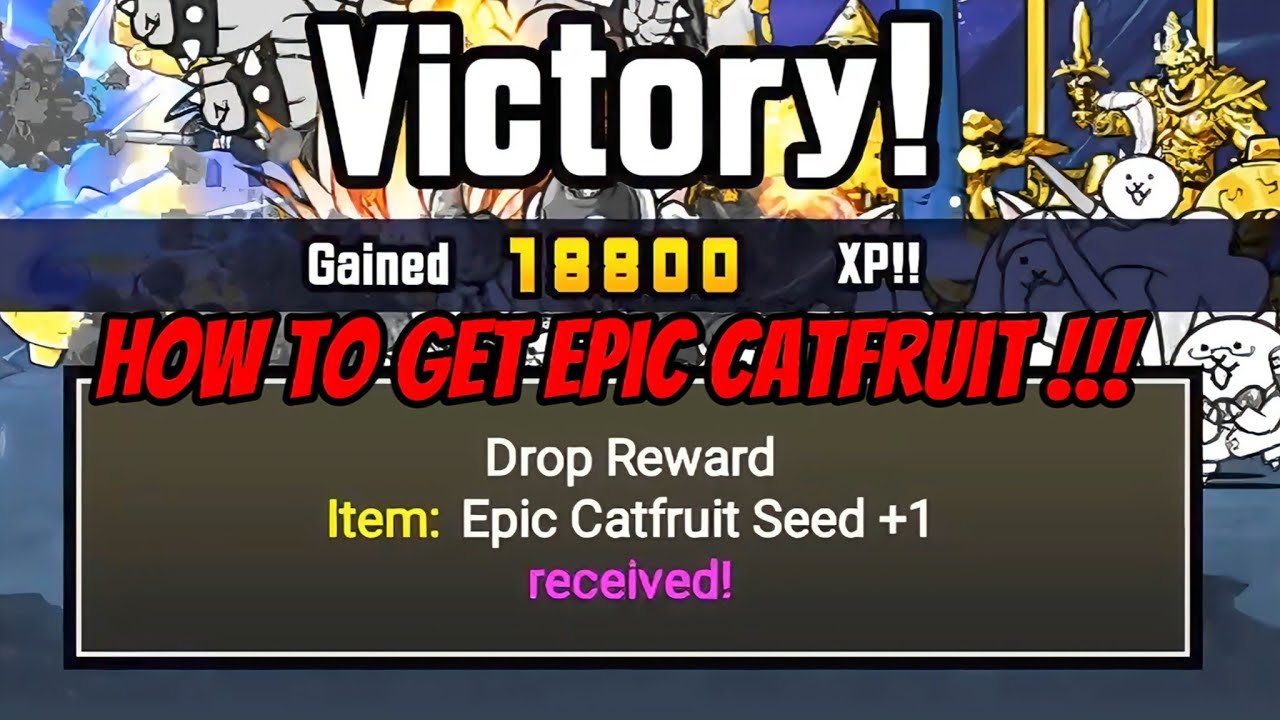 HOW TO GET EPIC CATFRUIT SEED THE BATTLE CATS - YouTube