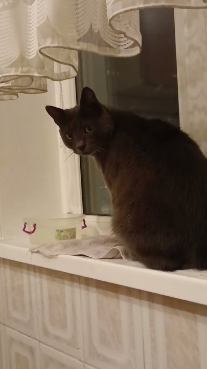 мадвей ,🤩🤩🤩😘😘😘 - YouTube