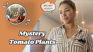 Don't Make The Same Mistake I Did!! | Mystery Tomato Plants & New Seedlings | VLOG