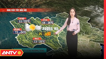 Dự Báo Thời Tiết Tối Ngày 25/01: Bắc Bộ Nhiều Mây, Đêm Có Mưa Nhỏ Rải Rác | ANTV