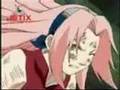 Sakura Haruno : everybody's fool