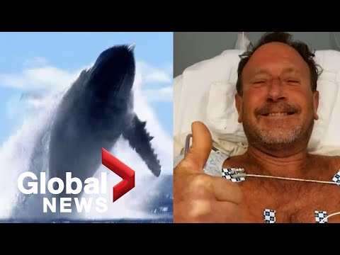 Video: Whale Restituisce Il Telefono Lasciato Cadere Nel Mare Di Norvegia