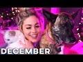 LuluLuvely's BEST & FUNNIEST Clips | December 2020