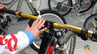 1. il Downhill: mountain bike e protezioni
