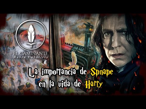 Cual Es La Profesion De Snape En Hogwarts