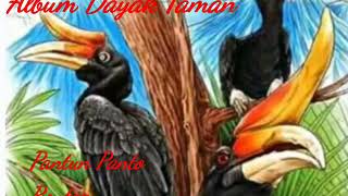 Download Lagu Pantun Panto Rontap - dayak Taman Sekado 2019.. MP3 Download Lagu Pantun Panto Rontap - dayak Taman Sekado 2019.. MP3
