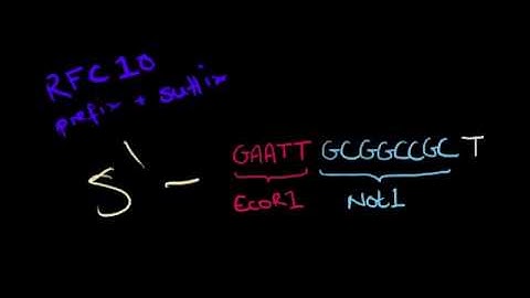 Bricks of Knowledge: RFC10 assembly, University of Leeds iGEM