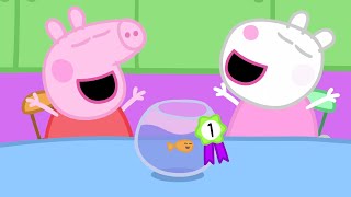La mejor competencia de mascotas de Peppa | Kids First | Peppa Pig en Español by Kids First - Español Latino 25,361 views 1 month ago 50 minutes
